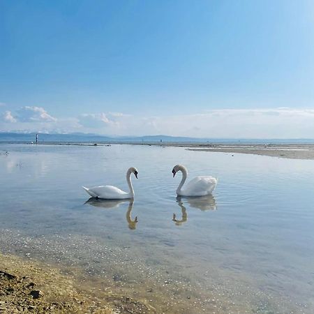 " Sunshine Am See " ฟรีดริชส์ฮาเฟน ภายนอก รูปภาพ