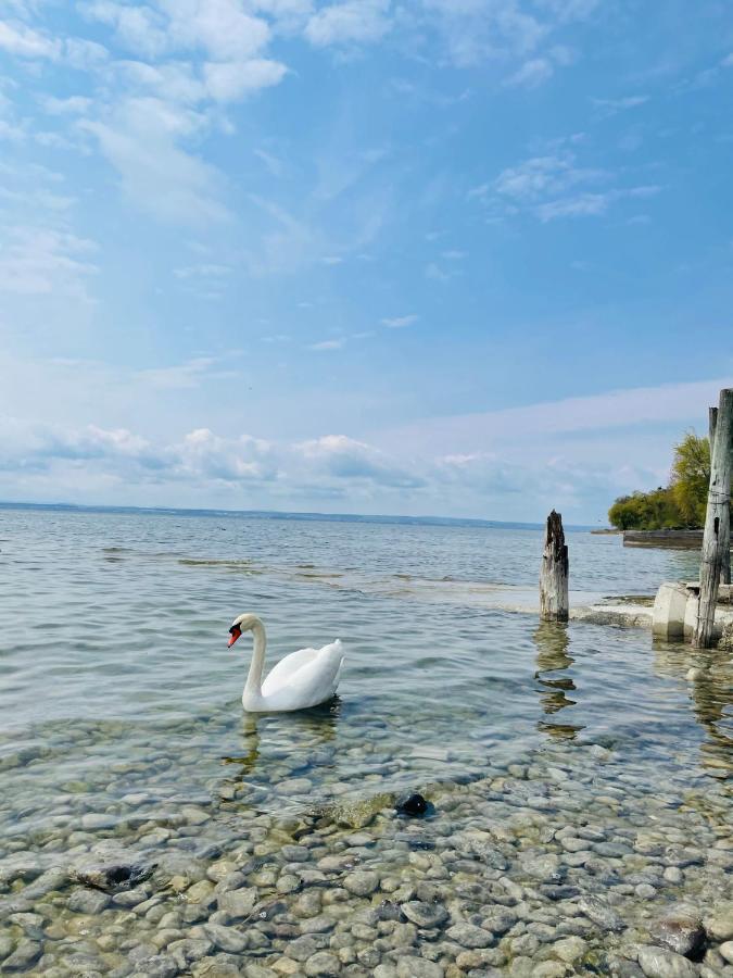 " Sunshine Am See " ฟรีดริชส์ฮาเฟน ภายนอก รูปภาพ